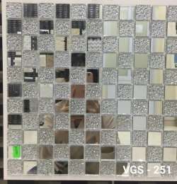 VGS 251